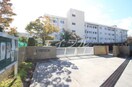 岡山市立芳泉中学校(中学校/中等教育学校)まで2149m グランドール新福