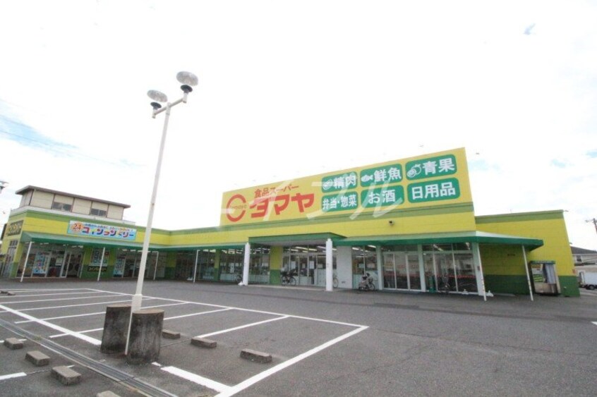 タマヤ 豊成店(スーパー)まで347m グランドール新福