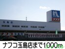 ナフコ玉島店(電気量販店/ホームセンター)まで1000m サンセベリア