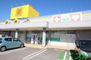 くすりのラブ福田店(ドラッグストア)まで968m アヴェニール　Ⅱ棟