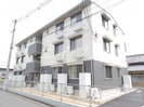 オリーブの外観