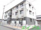 オリーブの外観
