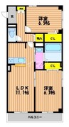 ラフォーレＦ 2LDKの間取り