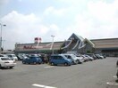 山陽マルナカ早島店(スーパー)まで1841m アブニール若宮