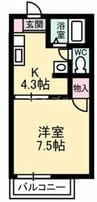 フレグランス野崎Ａ棟 1Kの間取り