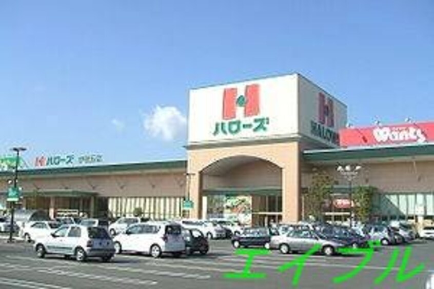 ハローズ当新田店(スーパー)まで339m 星島コーポ　C棟