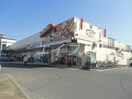 コープ東川原(スーパー)まで553m コーポ雅