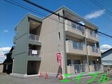 ニューマリッチ　メイ