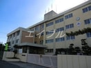 岡山市立桑田中学校(中学校/中等教育学校)まで1662m ビューティーリメイン野田