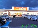 ザ・ビッグ奥田南店(電気量販店/ホームセンター)まで832m アーバンパレス医大南