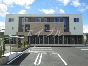 プリムローズＮ