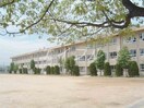 倉敷市立中島小学校(小学校)まで803m フィカーサ上富井