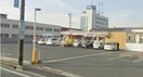 セブンイレブン岡山今保店(コンビニ)まで800m セレノア