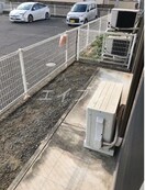  ウィルモア