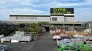 ロイヤルホームセンター築港店(電気量販店/ホームセンター)まで1626m ディアス２１　Ｂ棟