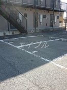  ピュシス