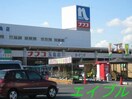 ホームプラザナフコ玉島店(電気量販店/ホームセンター)まで3276m at西之浦
