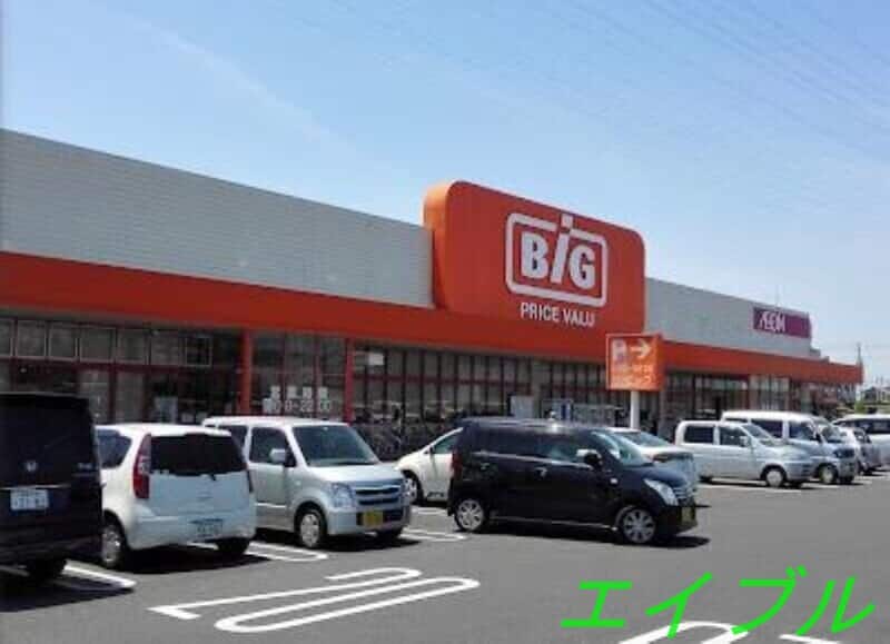 ザ・ビッグ奥田南店(電気量販店/ホームセンター)まで913m ハートフル新保