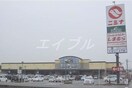 ニシナフードバスケット中畝店(スーパー)まで340m ブロト