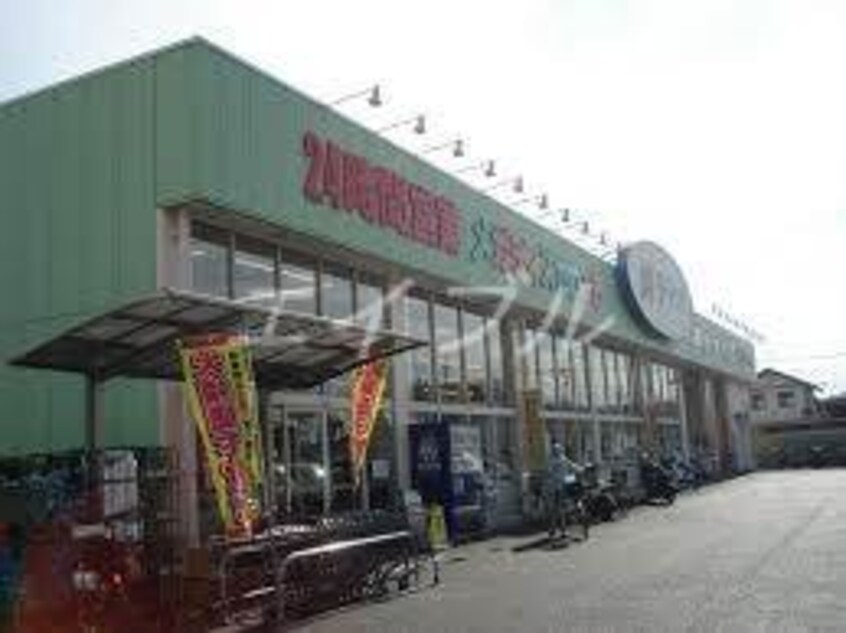 ディオ水島店(スーパー)まで1970m シャルム　B棟