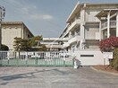 倉敷市立緑丘小学校(小学校)まで1179m ファーデン・ハウス
