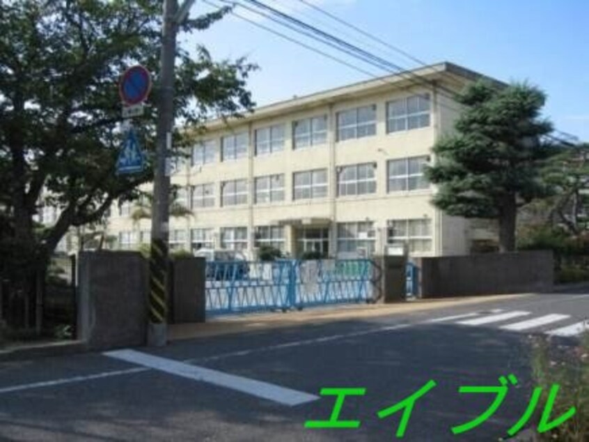 倉敷市立中洲小学校(小学校)まで1411m アイビー倉敷　Ｃ棟