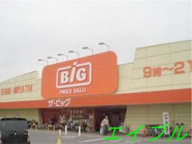 ザ・ビッグ連島店(ショッピングセンター/アウトレットモール)まで1314m サンセール連島　Ａ棟