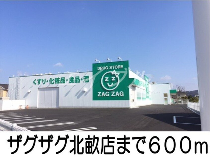 ザグザグ北畝店(ドラッグストア)まで600m ディリジェント　サユリ　Ａ