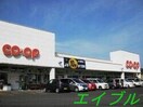 コープ倉敷北(スーパー)まで1238m 仮）日吉町新築アパート
