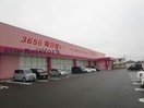 ディスカウントドラッグコスモス養父店(ドラッグストア)まで1159m アムール土井