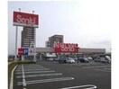 サンキ鳥栖店(ショッピングセンター/アウトレットモール)まで3583m エスカレント鳥栖