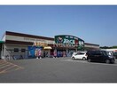 あんくる夢市場鳥栖弥生が丘店(スーパー)まで2296m ステーションハイツ