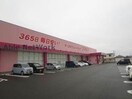 ディスカウントドラッグコスモス養父店(ドラッグストア)まで1091m メゾン大石 C棟