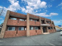 レイ・ブリックス