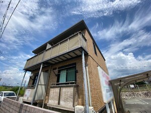 カトレア中原st