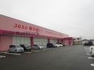 ディスカウントドラッグコスモス養父店(ドラッグストア)まで709m リアン・パルティールＣ