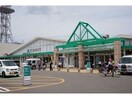 サニー鳥栖店(スーパー)まで2106m パストラル