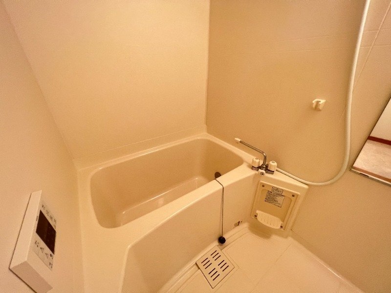  アムールサガン