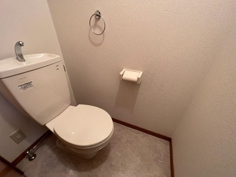  アムールサガン