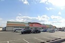 ダイレックス小郡店(スーパー)まで1431m CREDO基山Ⅰ