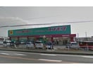 ディスカウントドラッグコスモス鳥栖今泉店(ドラッグストア)まで1063m メゾン・ド・ヴィラⅡ