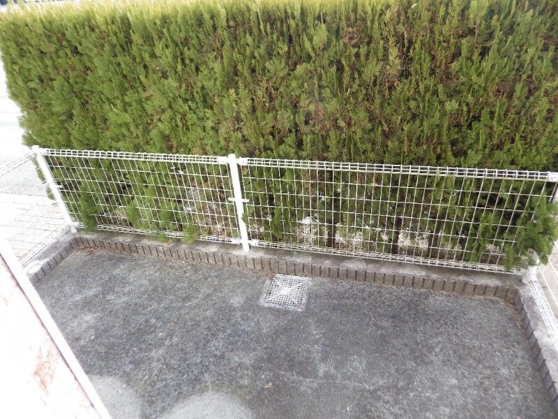 ※別号室 サンベールコガⅡ Ａ棟
