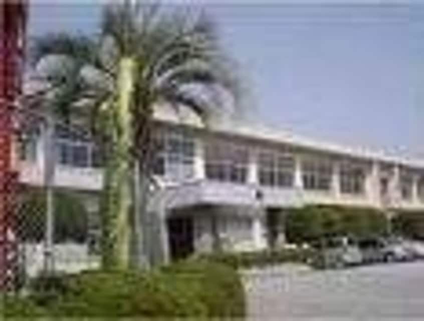 鳥栖市立若葉小学校(小学校)まで1236m レオクラップ蔵上