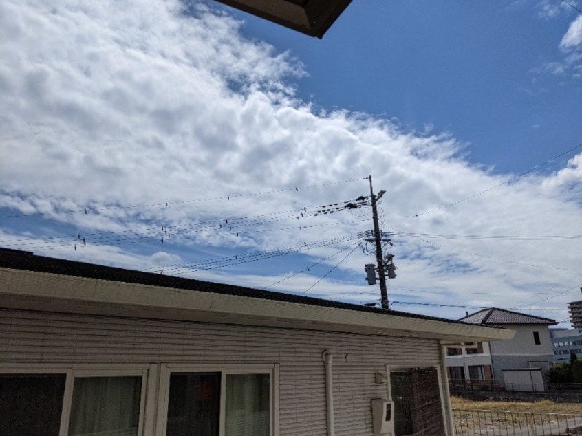  カーサ弥生が丘Ⅰ