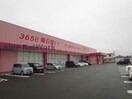 ディスカウントドラッグコスモス養父店(ドラッグストア)まで1018m フリーダム・レジデンスⅡ