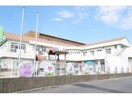 やよいが丘保育園(幼稚園/保育園)まで1073m ソレイユⅡ
