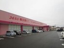 ディスカウントドラッグコスモス養父店(ドラッグストア)まで2290m メゾンHarue
