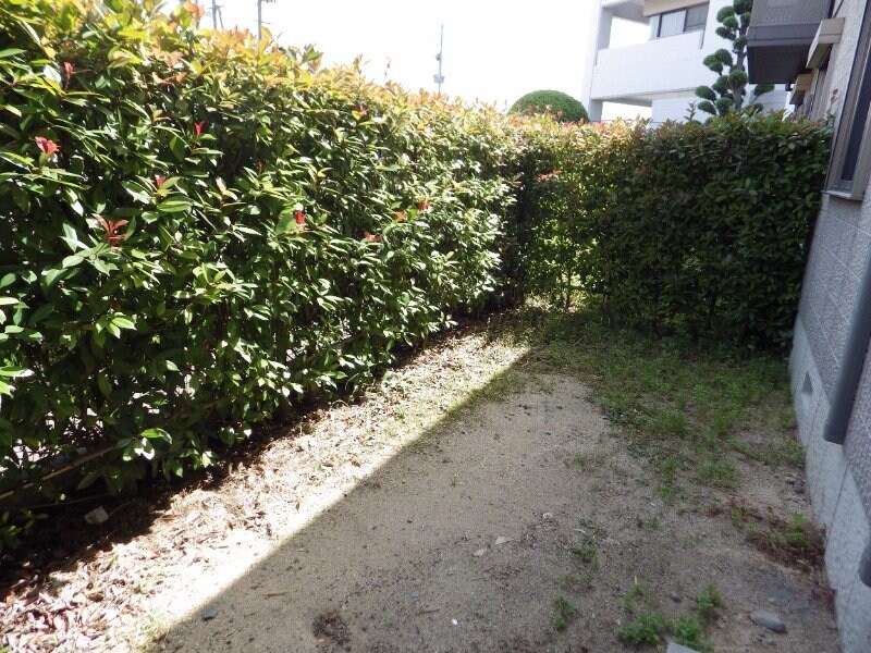  ベルスールＣ・Ｄ棟