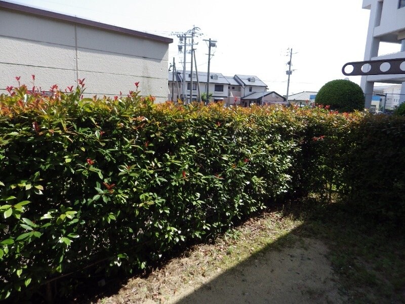  ベルスールＣ・Ｄ棟