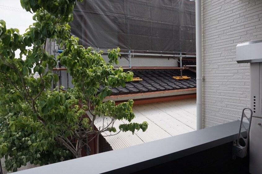  CB鳥栖アデリーナ